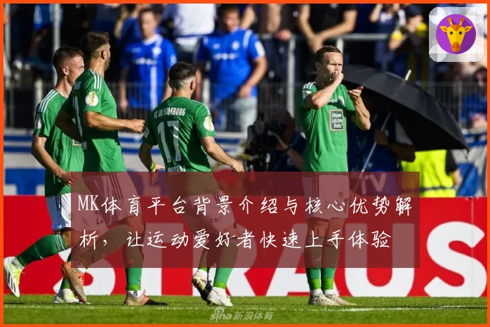 MK体育平台背景介绍与核心优势解析，让运动爱好者快速上手体验