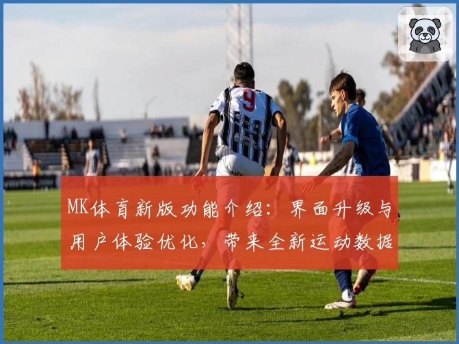 MK体育新版功能介绍：界面升级与用户体验优化，带来全新运动数据追踪体验